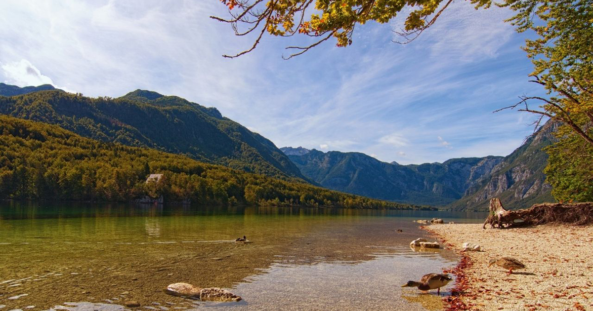 Jezera Slovenije, primerna za kopanje